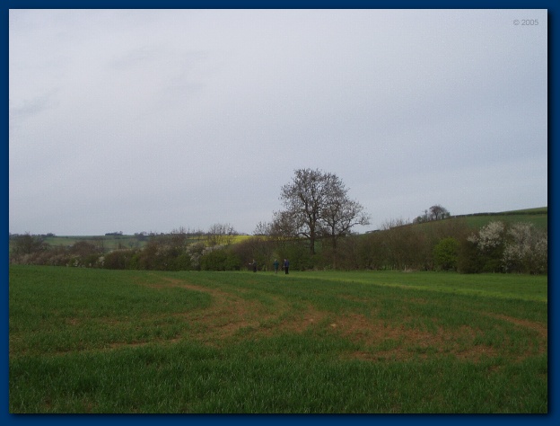 600x449 pixels (87K)